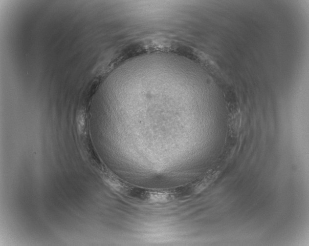 X0000066020709200603171532