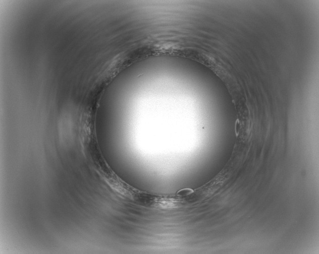 X0000066020710200603171532