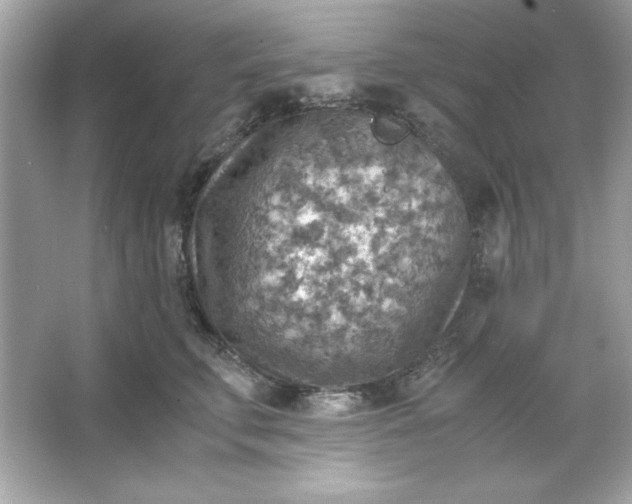 X0000066020711200603171532