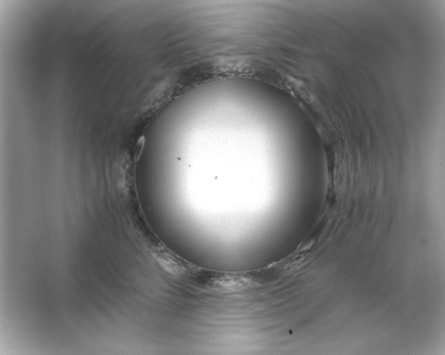 X0000066020712200603171532