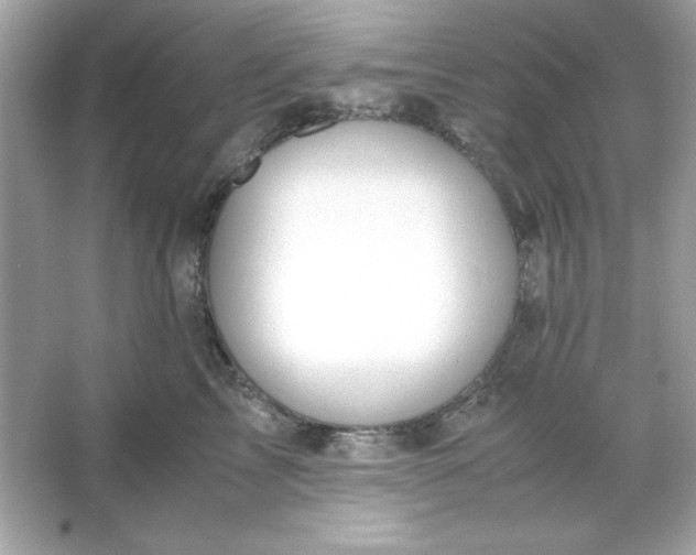 X0000066020713200603171532