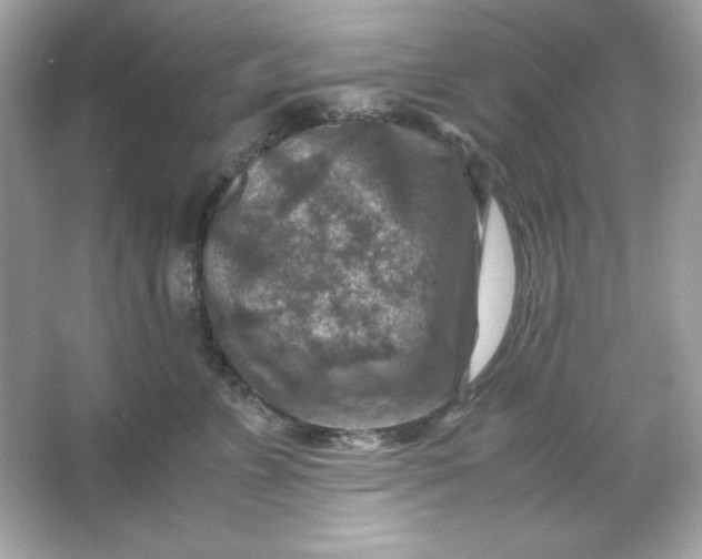 X0000066020715200603171532