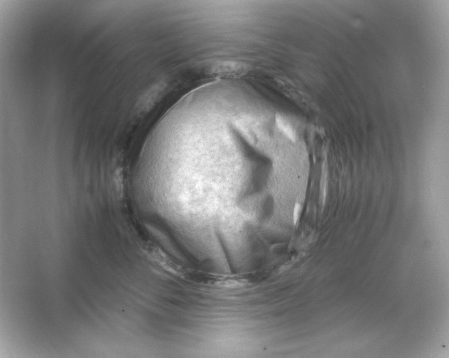 X0000066020716200603171532