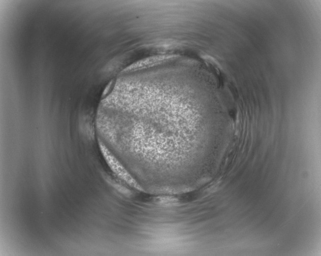 X0000066020719200603171532