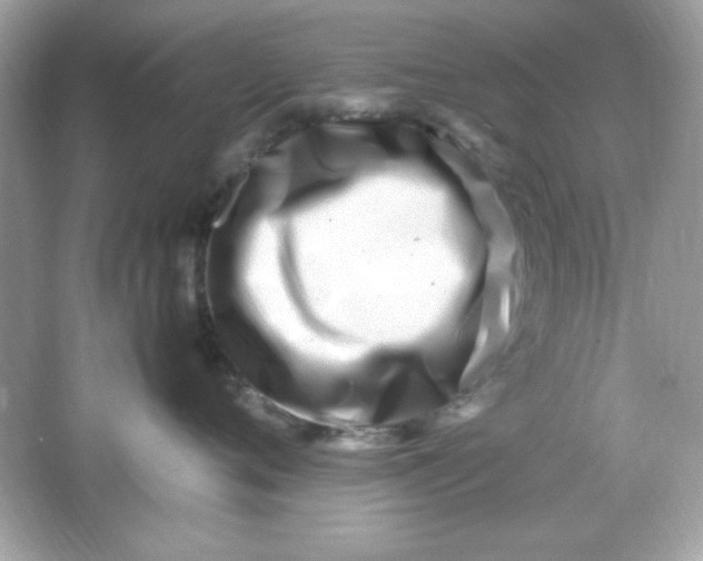 X0000066020720200603171532