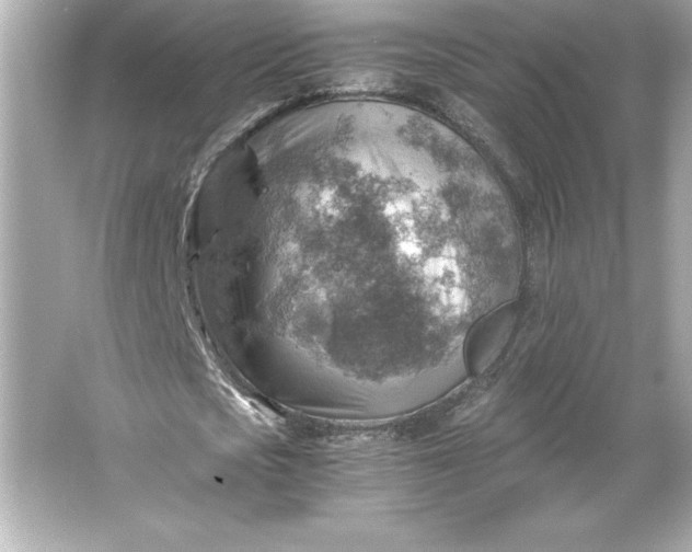 X0000066020721200603171531