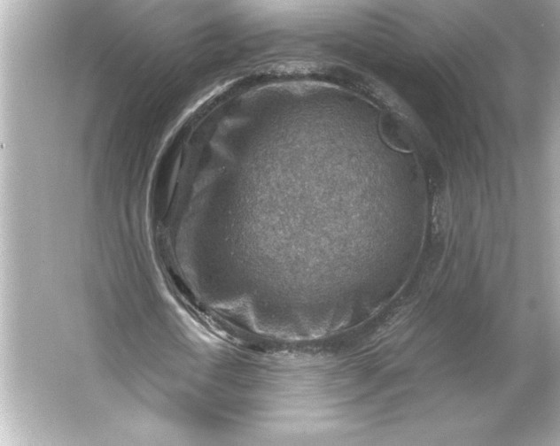 X0000066020722200603171531