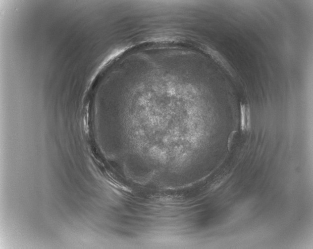 X0000066020723200603171531