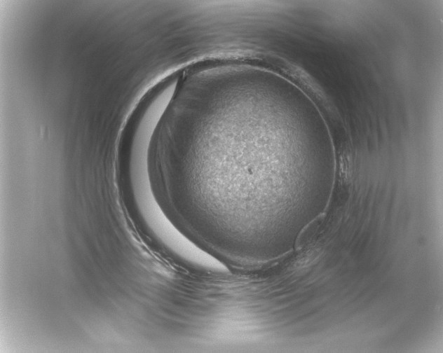 X0000066020724200603171531