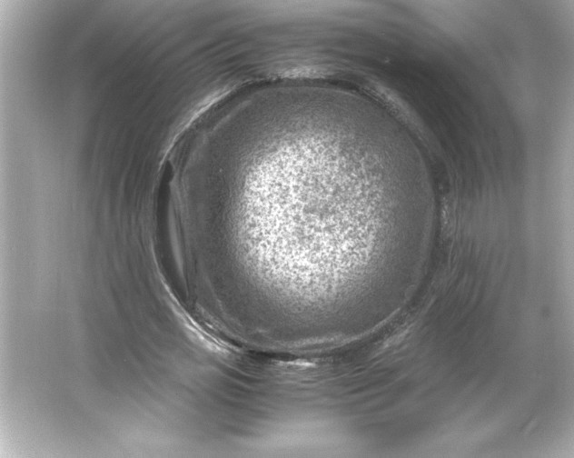 X0000066020725200603171531