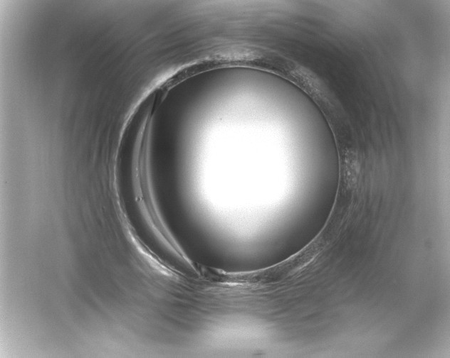 X0000066020726200603171531