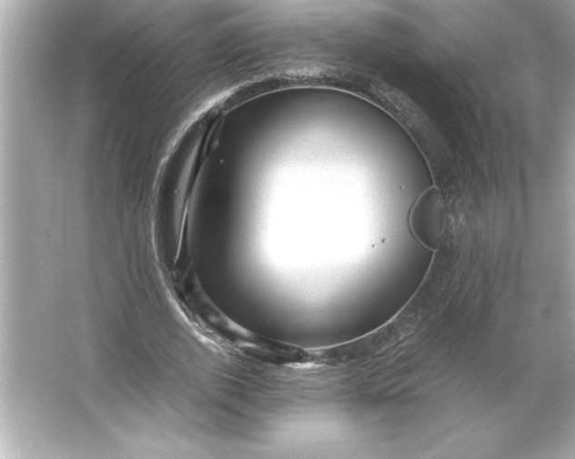 X0000066020728200603171531