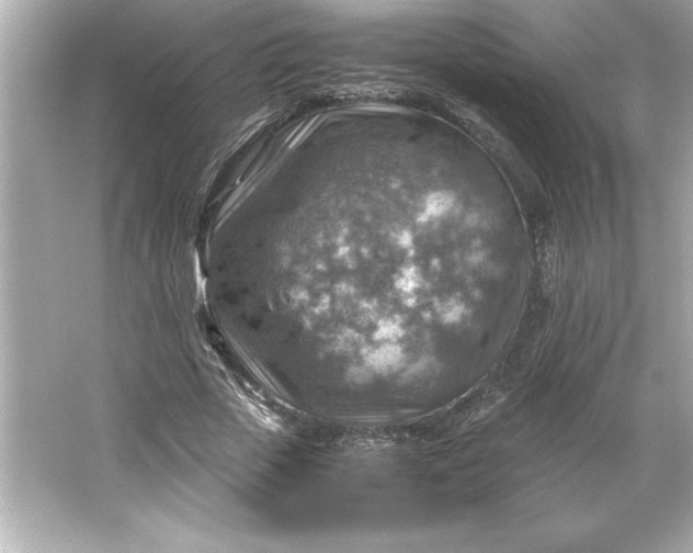 X0000066020729200603171531