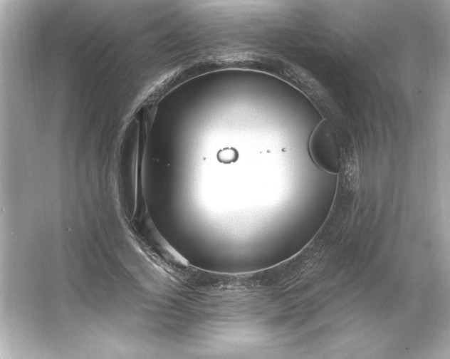 X0000066020732200603171531