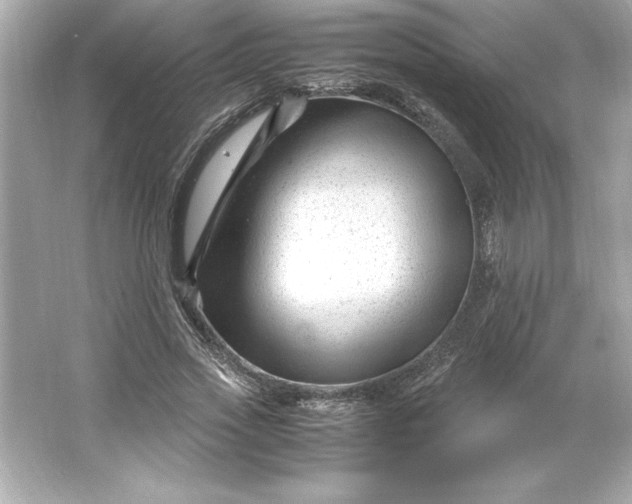 X0000066020733200603171531