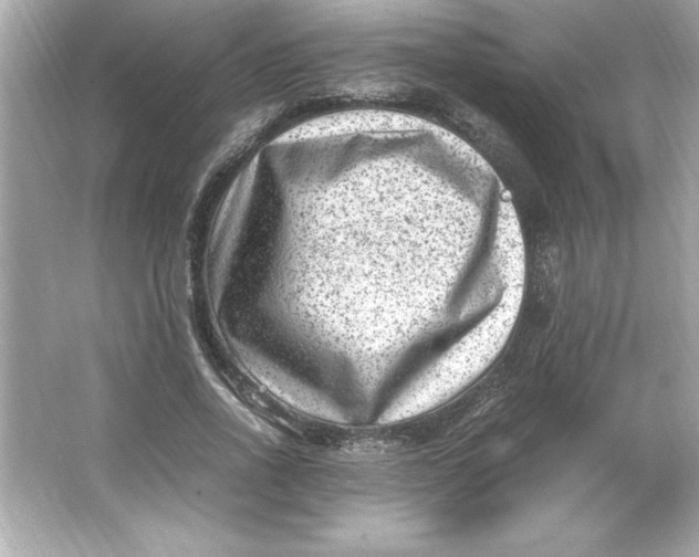 X0000066020734200603171531