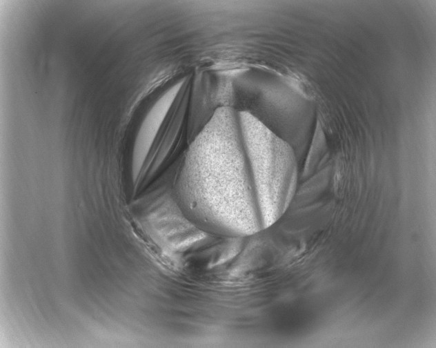 X0000066020735200603171531