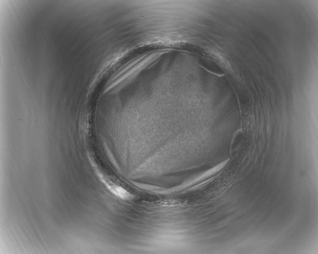 X0000066020736200603171531