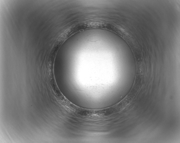 X0000066020737200603171531