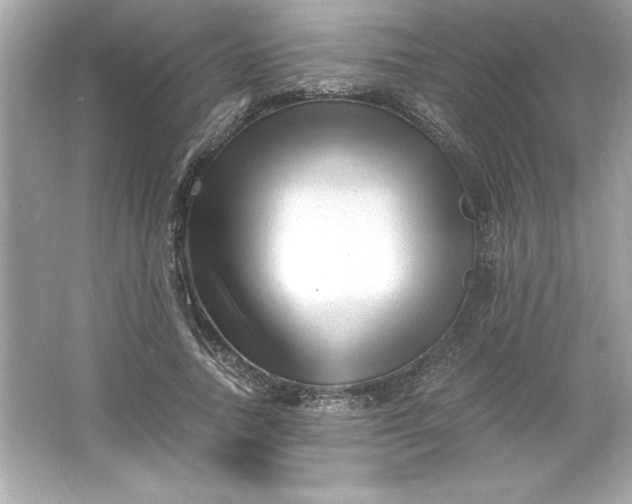 X0000066020738200603171531