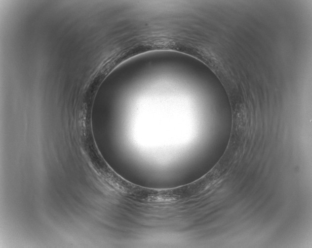 X0000066020739200603171531