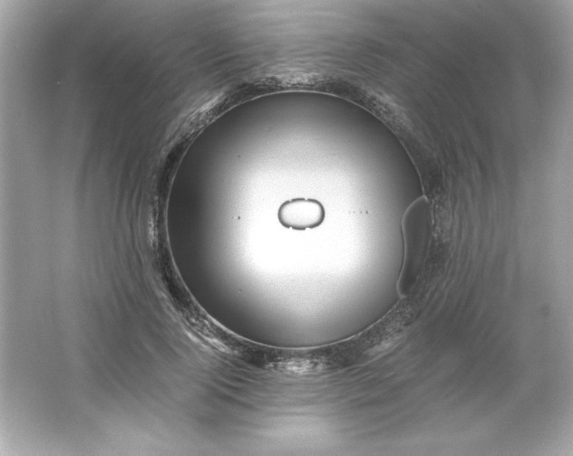 X0000066020740200603171531