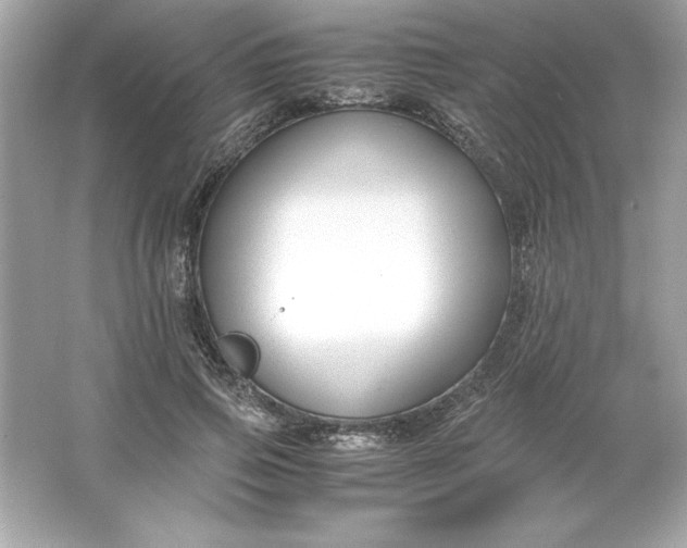 X0000066020741200603171531