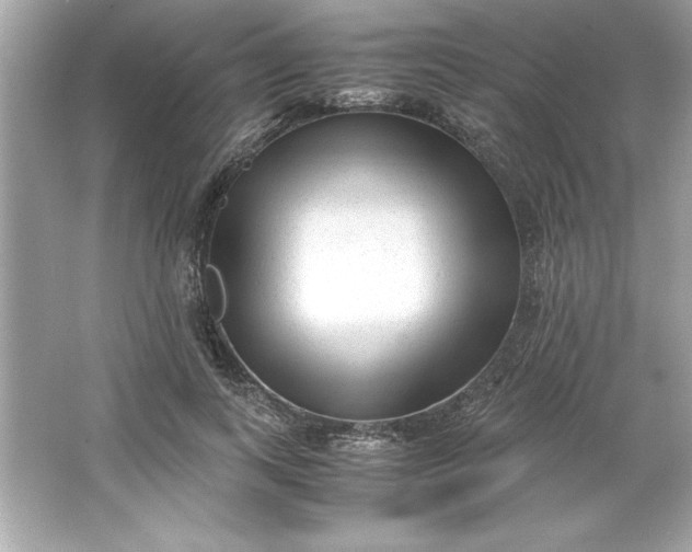 X0000066020743200603171531