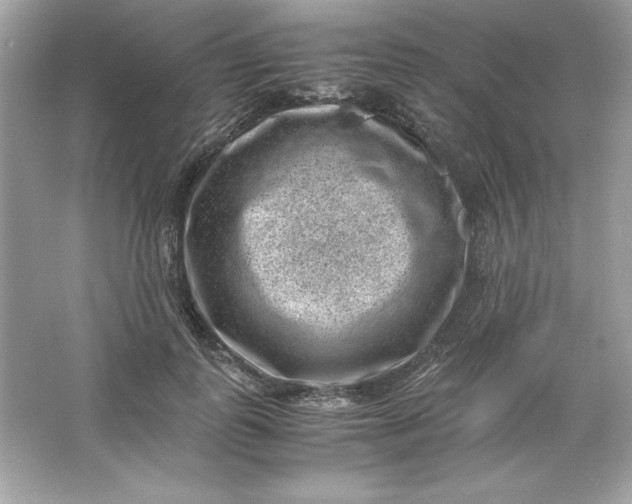 X0000066020747200603171531