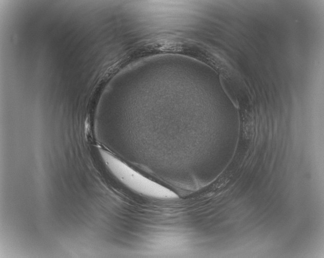 X0000066020748200603171531