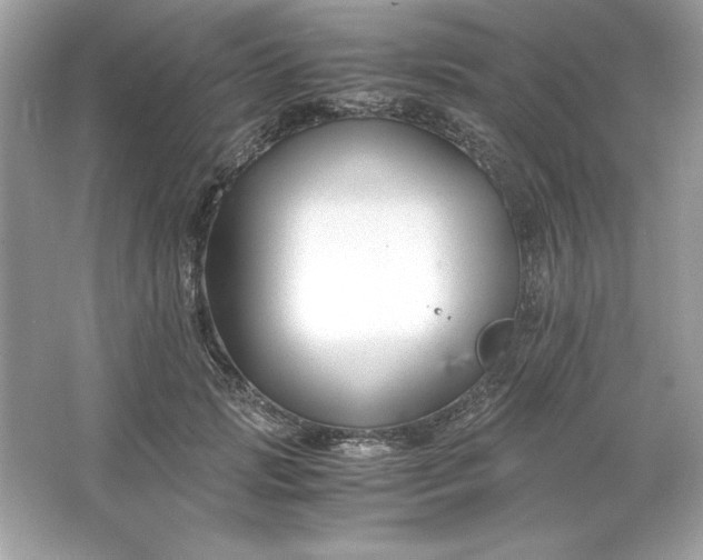 X0000066020749200603171531