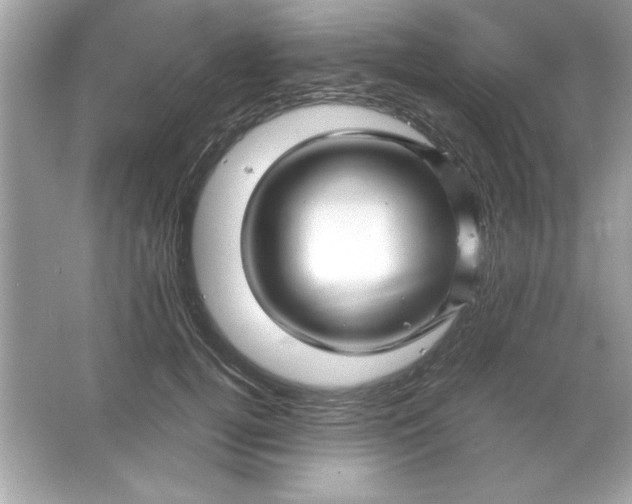 X0000066020752200603171531