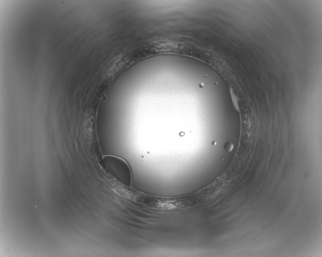 X0000066020753200603171531