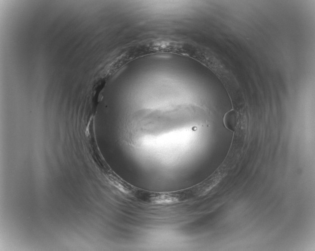 X0000066020754200603171531