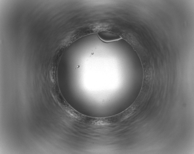 X0000066020755200603171531