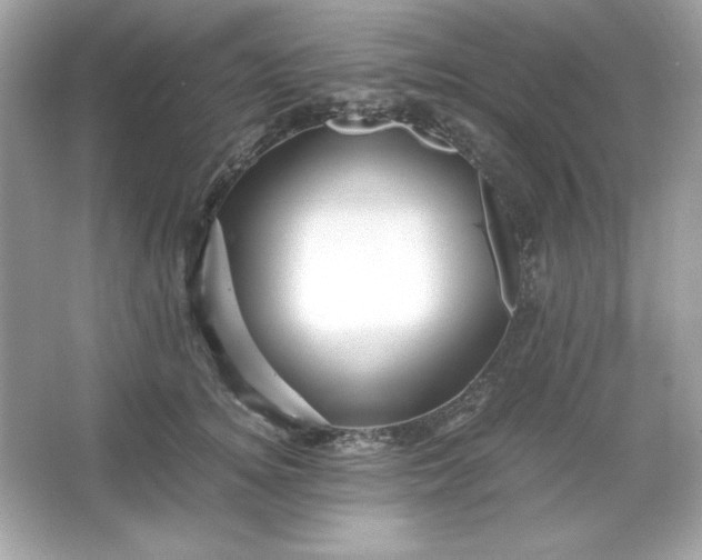 X0000066020756200603171531