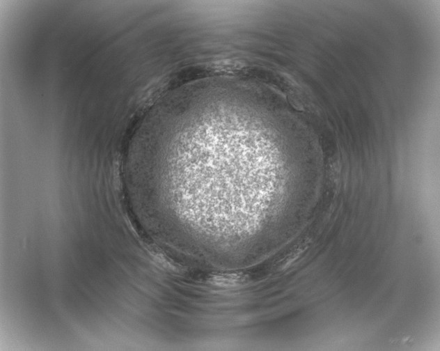 X0000066020757200603171531