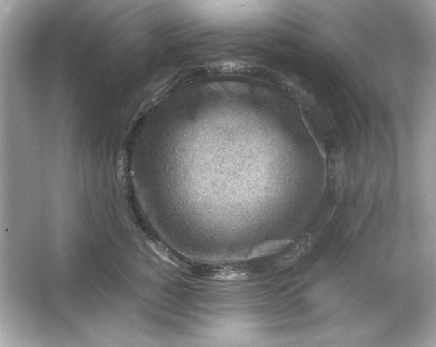 X0000066020760200603171531