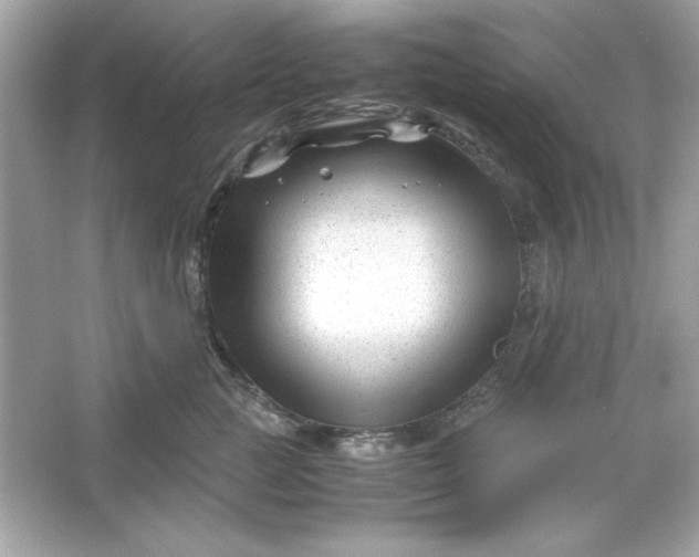 X0000066020761200603171531