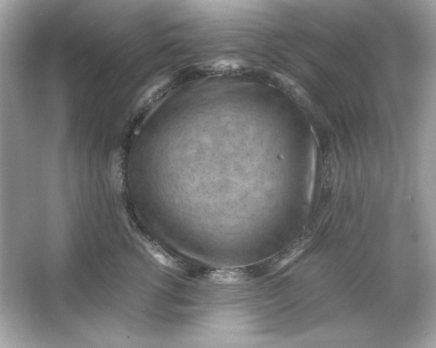 X0000066020762200603171531