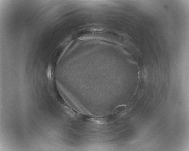 X0000066020763200603171532