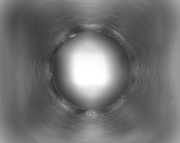 X0000066020764200603171532