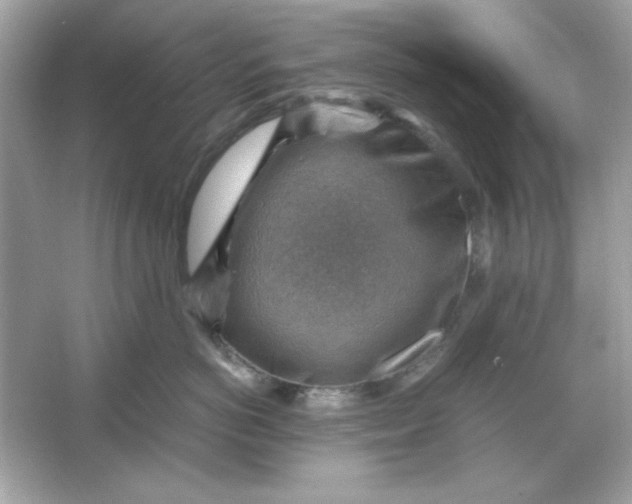 X0000066020766200603171532