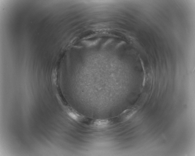 X0000066020767200603171532