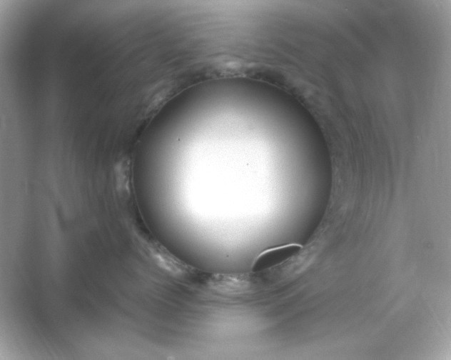 X0000066020768200603171532