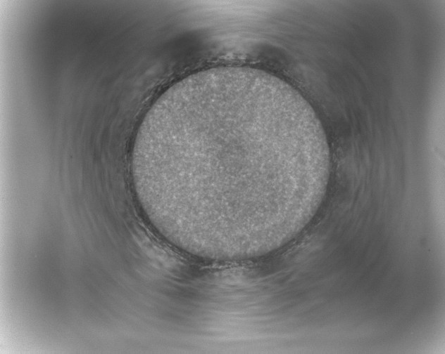 X0000066020769200603171531