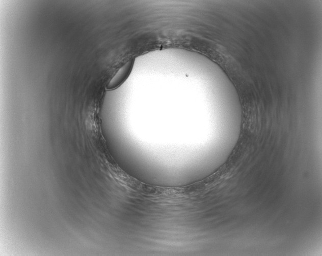 X0000066020770200603171531