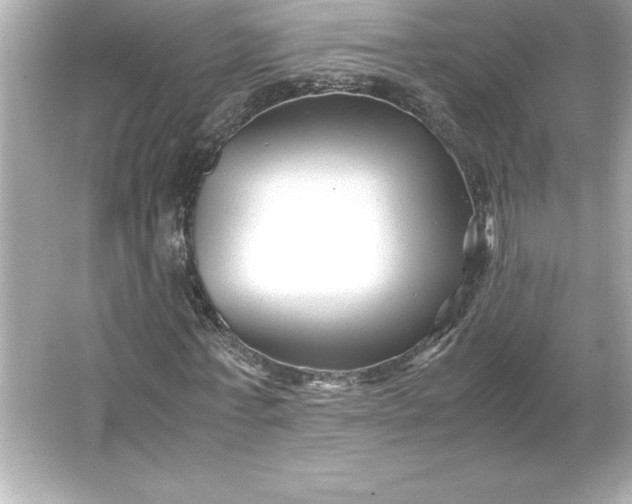 X0000066020771200603171531