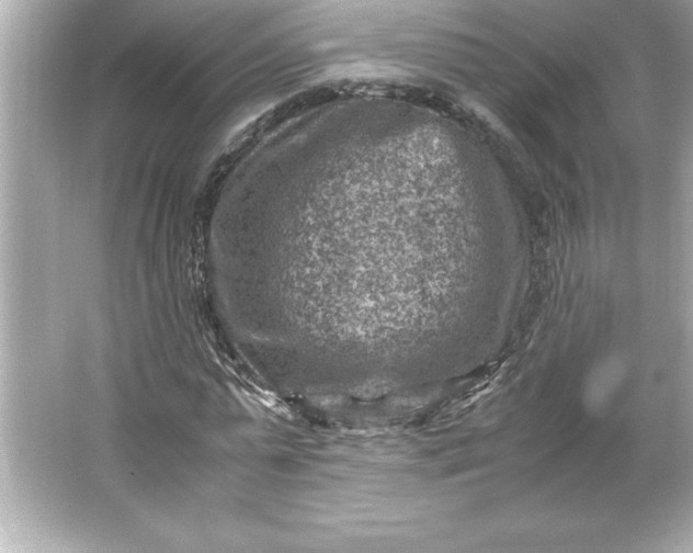 X0000066020775200603171531