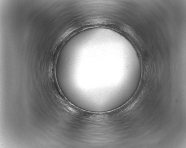 X0000066020778200603171531